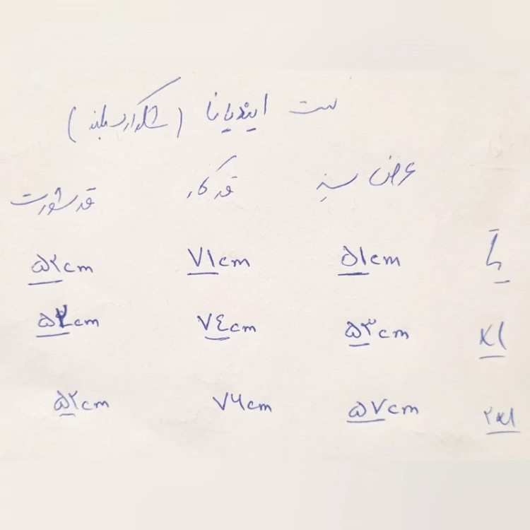ست بسکتبالی indiana (شلوارک بلند)