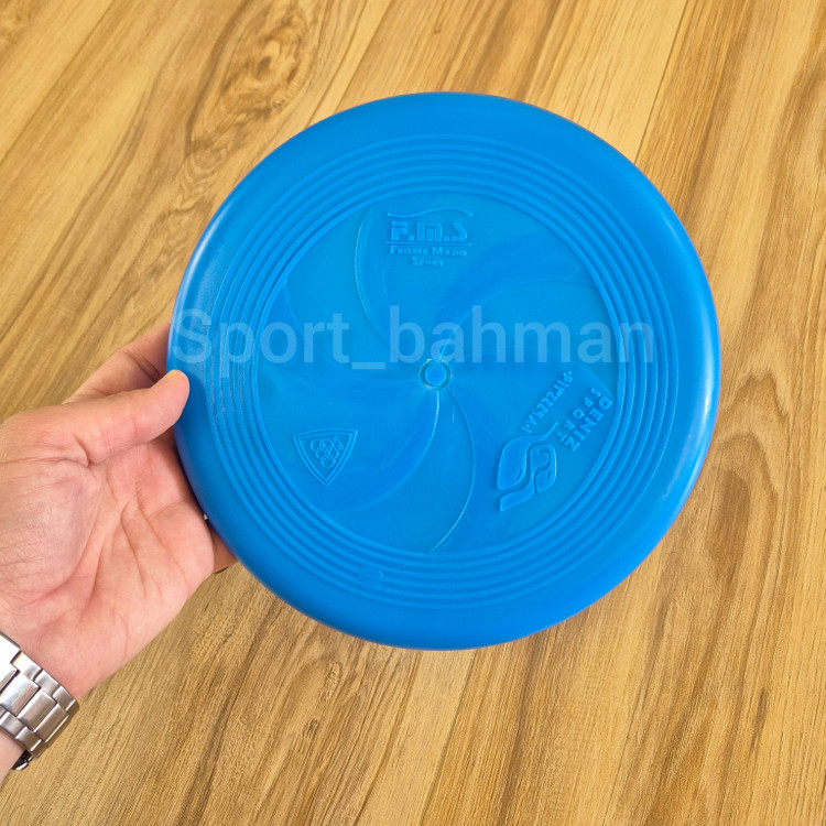 فریزبی تفریحی